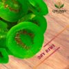 Dry Kiwi Fruit Delicious Tasty-Dehydrated Fruits Rich in Vitamins Healthy & Nutrient Rich
