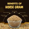 Organic Horse Gram | Kulthi Dal | Kollu Premium Quality Raw Horse Gram