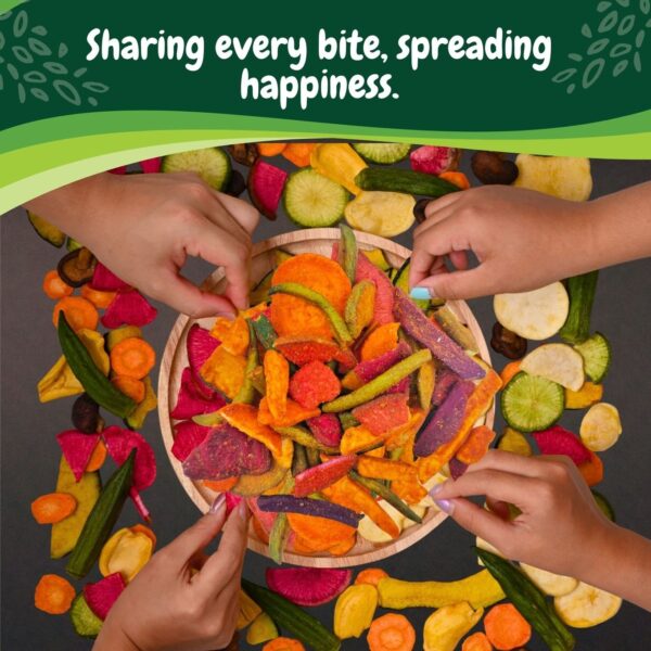 Dried vegetables Masala Mix Chips Crispy & Crunchy Healthy Dried vegetables Snacks No Preservatives | Fiber Rich Vegetable Chips